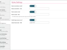 style settings section